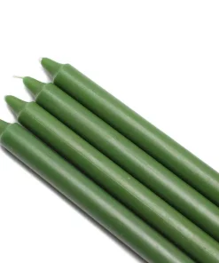 Indoor Christmas Decorations Zest Candle 10 In. Hunter Green Straight Taper Candles (12-Set)